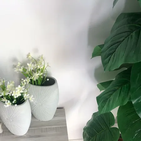 La Moderna Appartement